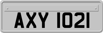 AXY1021