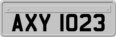 AXY1023