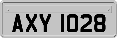 AXY1028