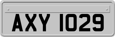 AXY1029