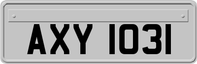 AXY1031