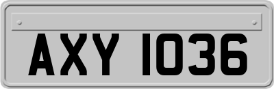 AXY1036
