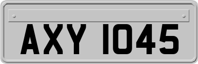 AXY1045