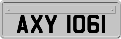 AXY1061
