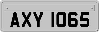 AXY1065