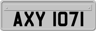 AXY1071