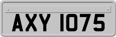 AXY1075