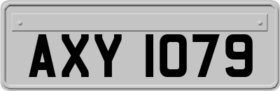 AXY1079
