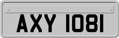 AXY1081