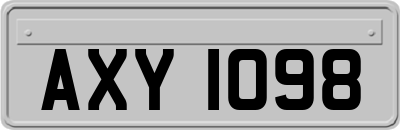 AXY1098
