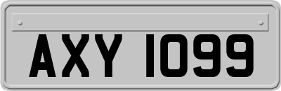 AXY1099
