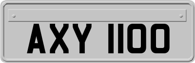 AXY1100