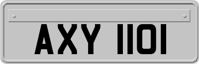 AXY1101