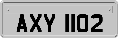 AXY1102