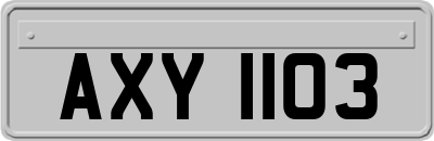 AXY1103
