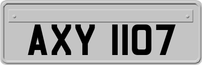 AXY1107