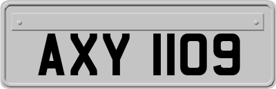AXY1109