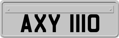AXY1110