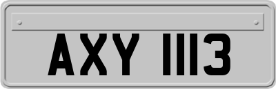 AXY1113