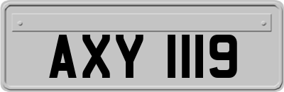 AXY1119