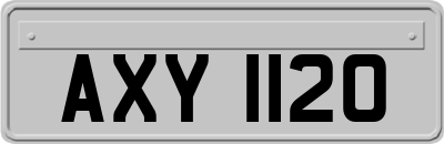 AXY1120