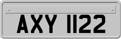 AXY1122