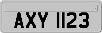 AXY1123