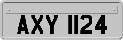 AXY1124