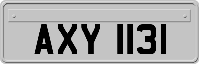AXY1131