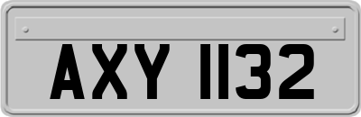 AXY1132