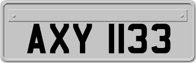 AXY1133