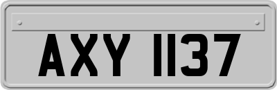 AXY1137