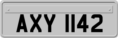 AXY1142