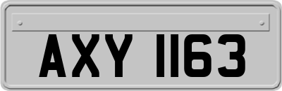 AXY1163