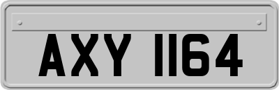 AXY1164