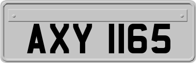 AXY1165