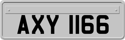 AXY1166