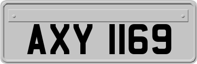 AXY1169