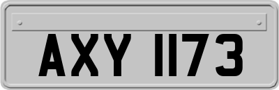 AXY1173