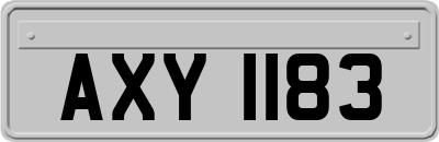 AXY1183