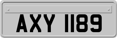 AXY1189