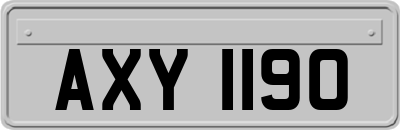 AXY1190