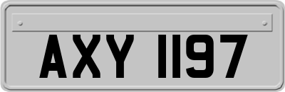 AXY1197