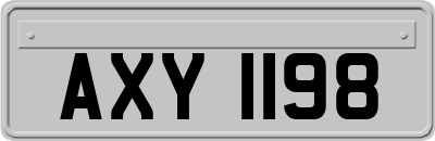 AXY1198