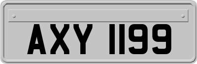 AXY1199