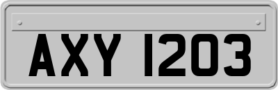 AXY1203