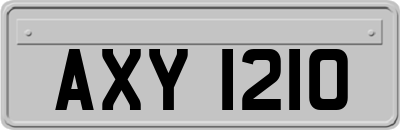 AXY1210