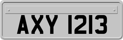 AXY1213
