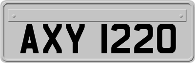 AXY1220