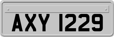 AXY1229